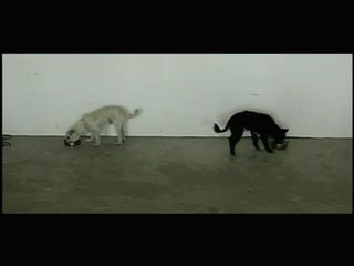 One Black and One White