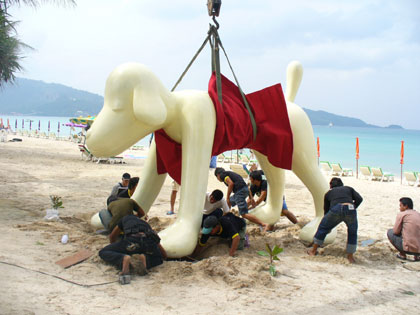 Your Dog in Phuket